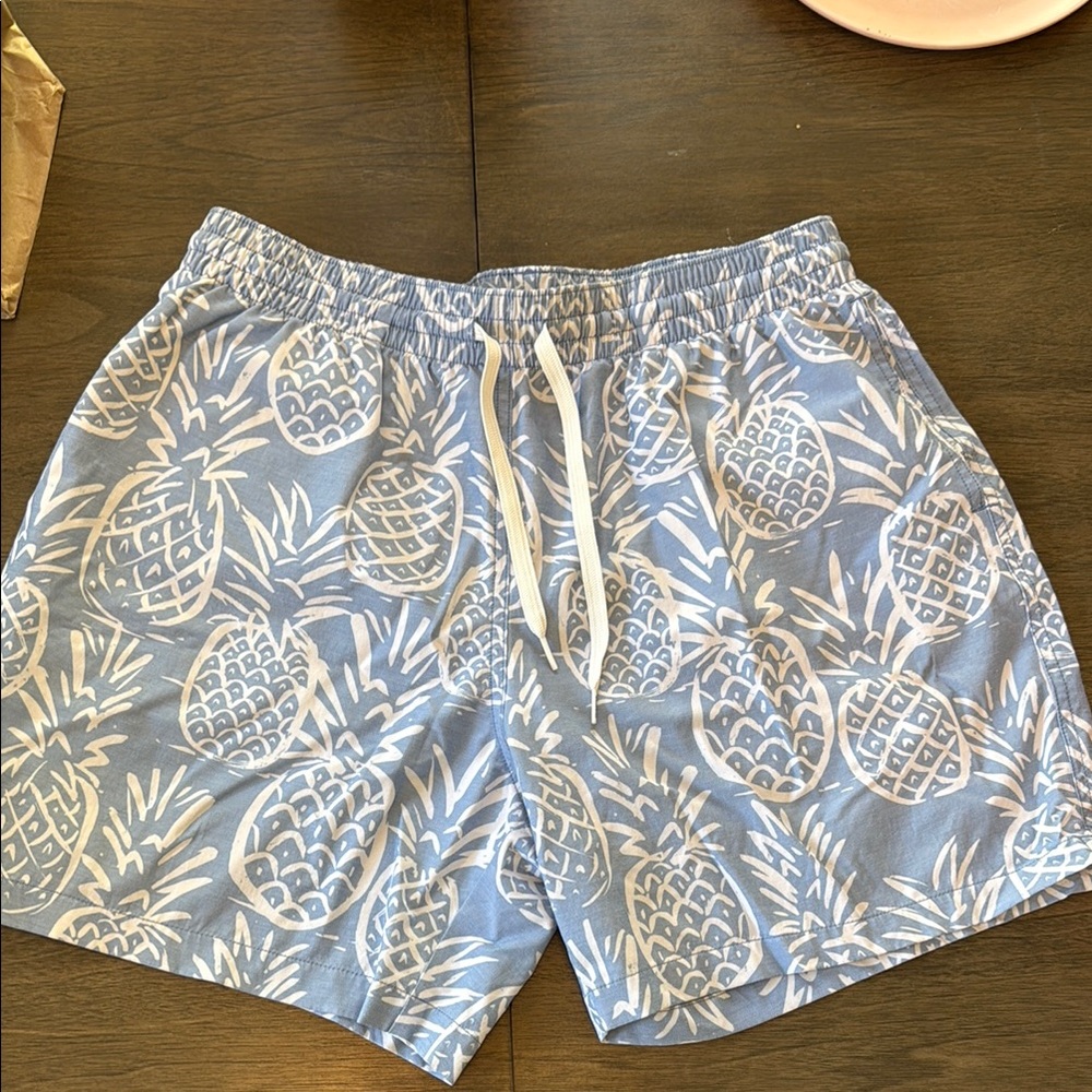 Chubbies Bathing Suit